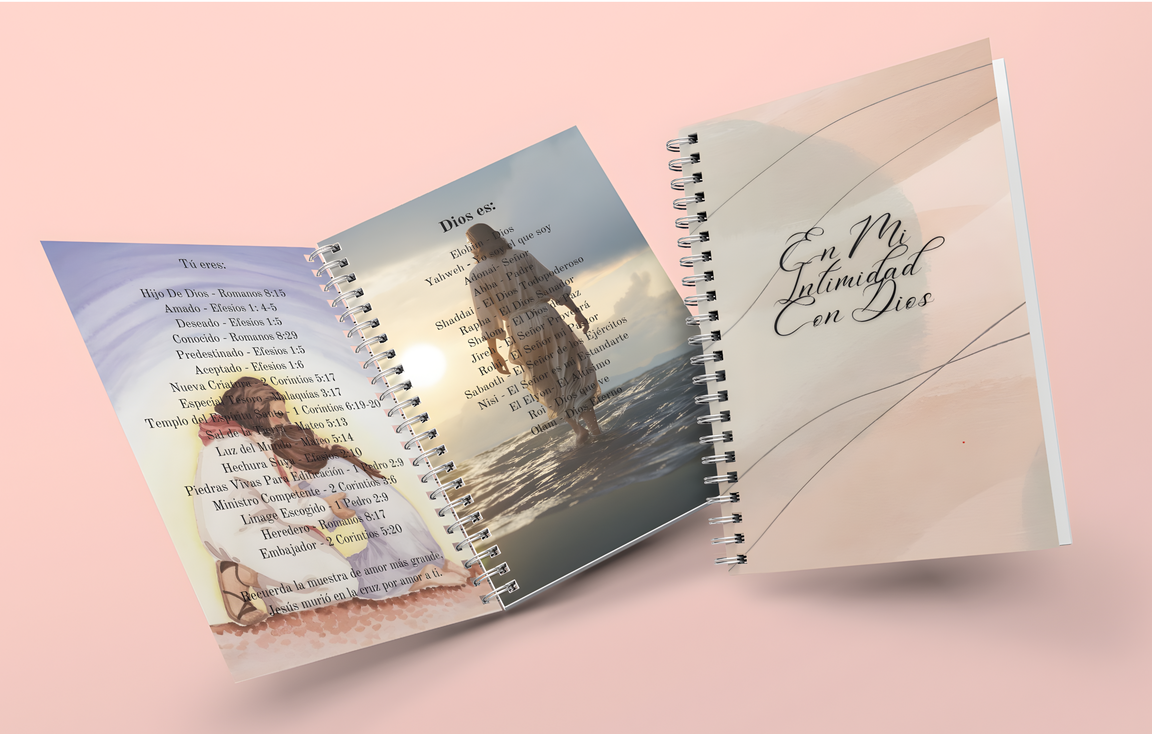 Journals